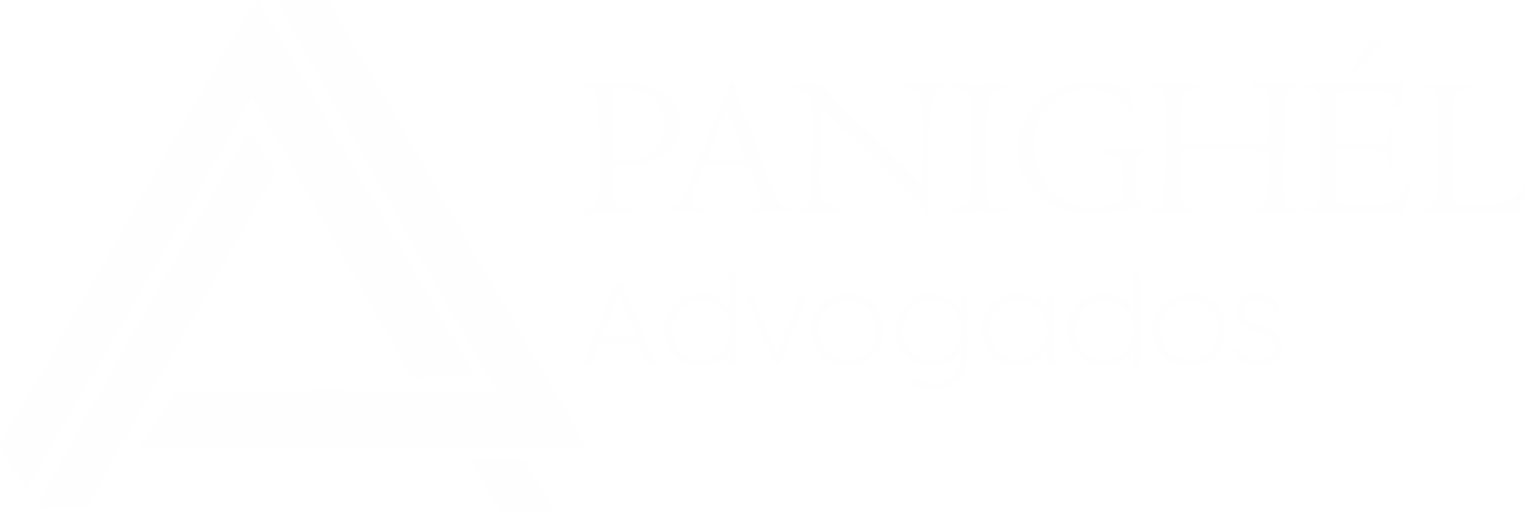 PANIGHEL LOGO BRANCA